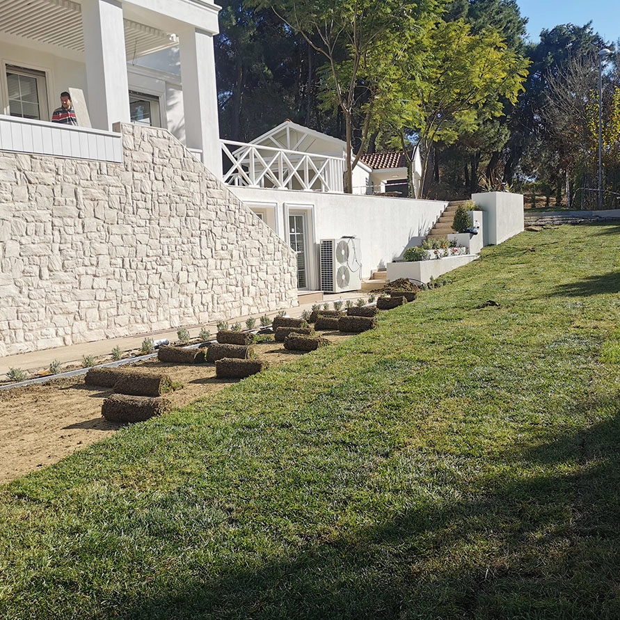 Periyodik Peyzaj Bakımı ve Danışmanlık