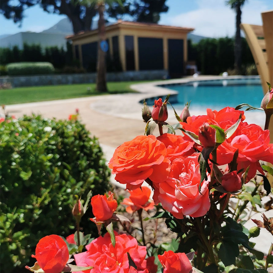 Yapısal Çözümler